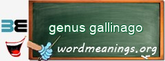 WordMeaning blackboard for genus gallinago